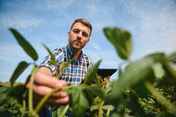 Ingénieur agronome