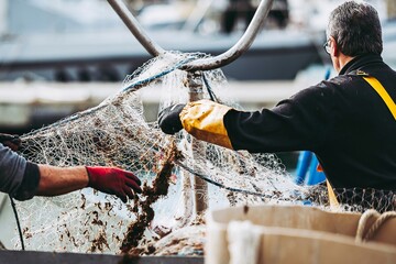 Marin pêcheur