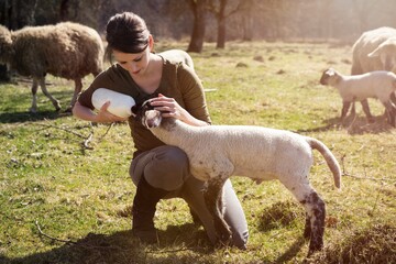Fiche métier Soigneur animalier Soigneur animalier