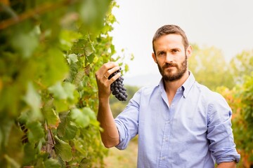 Viticulteur